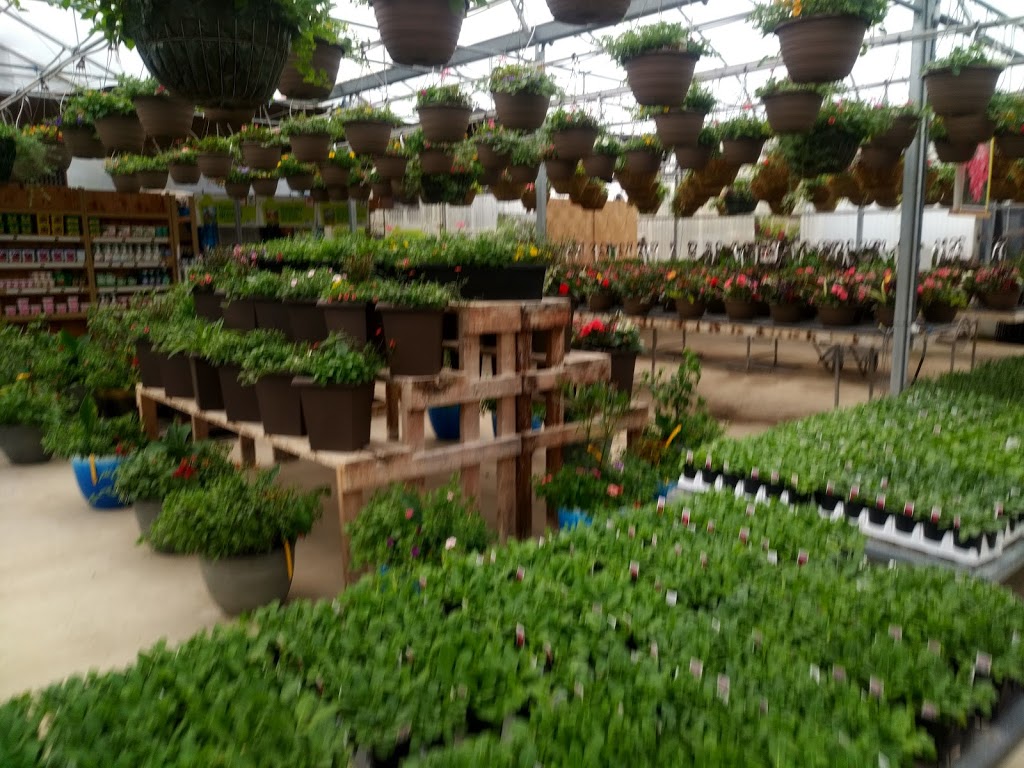 GGG Greenhouses And Garden Center | 434201 4 Line, Amaranth, ON L9W 0P3, Canada | Phone: (519) 942-4005