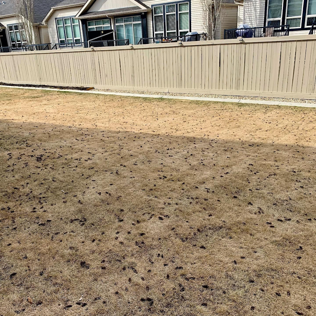 Live Fast Lawn Care | 4003 166th Ave NW, Edmonton, AB T5Y 0N9, Canada | Phone: (780) 233-2989