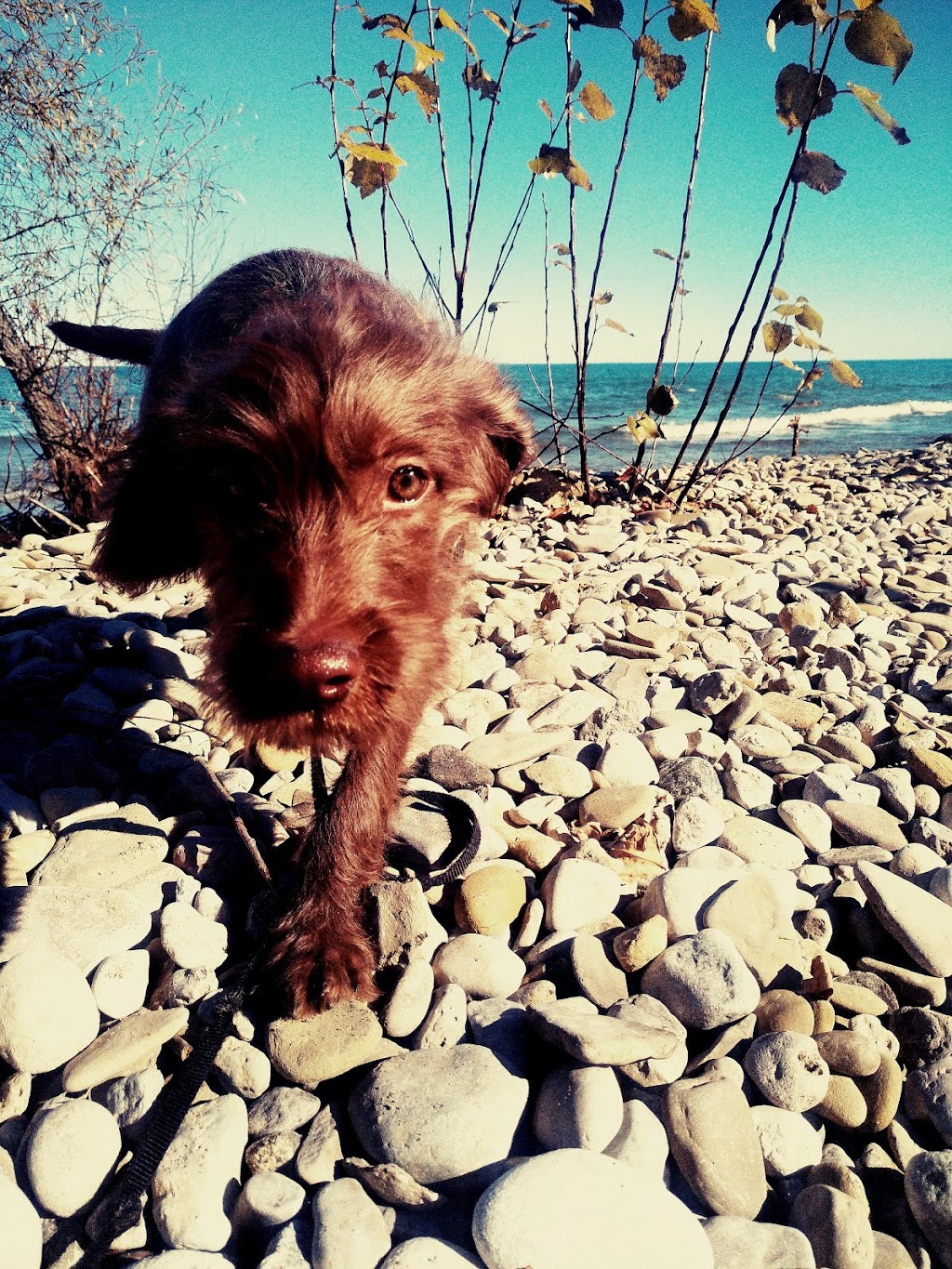 Ruffing It | 345 Concession Rd 10 #349, Port Elgin, ON N0H 2C6, Canada | Phone: (844) 444-7833