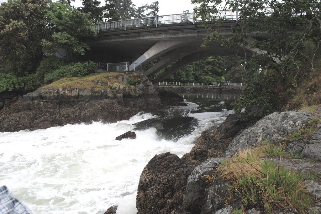 Reversing Falls | Tillicum Rd, Esquimalt, BC V9A, Canada