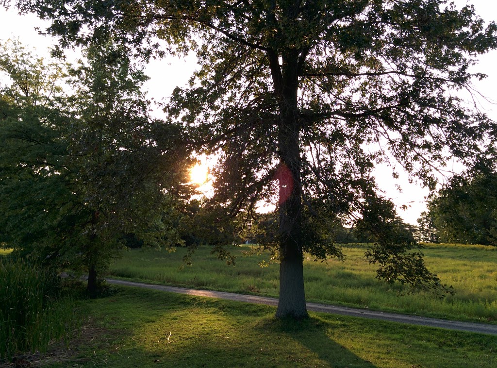 Knox Farm State Park | 437 Buffalo Rd, East Aurora, NY 14052, USA | Phone: (716) 652-0786