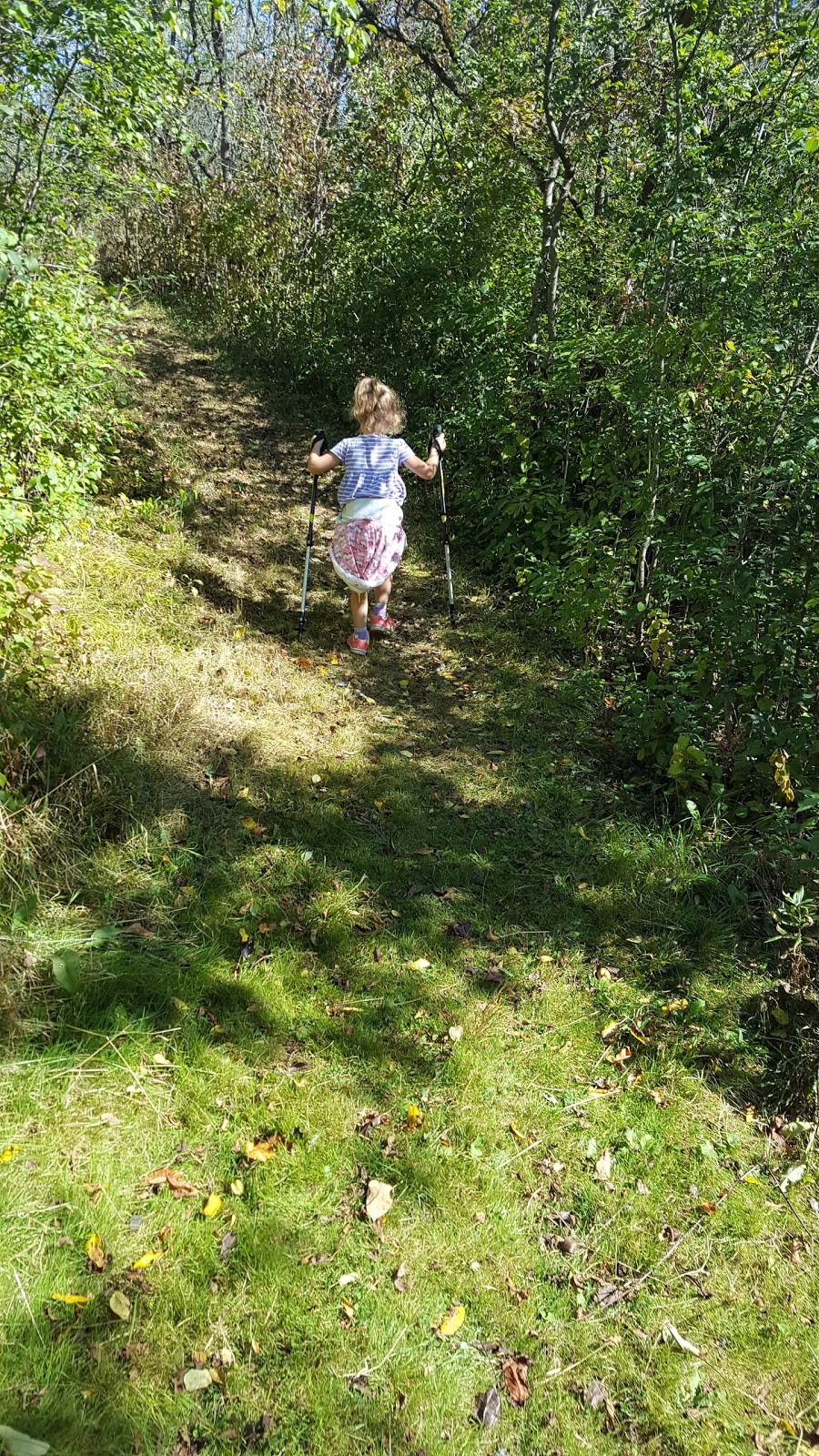 Royal Botanical Gardens Berry Tract | Bruce Trail, Dundas, ON L9H 5S7, Canada | Phone: (905) 527-1158