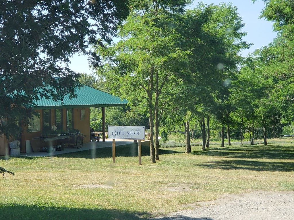 Christel Lake Lavender | 1381 Scugog Line 12, Greenbank, ON L0C 1B0, Canada | Phone: (905) 985-9060