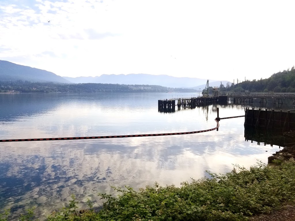 McGill Park | 4203 McGill St, Burnaby, BC V5C 0E7, Canada | Phone: (604) 294-7450