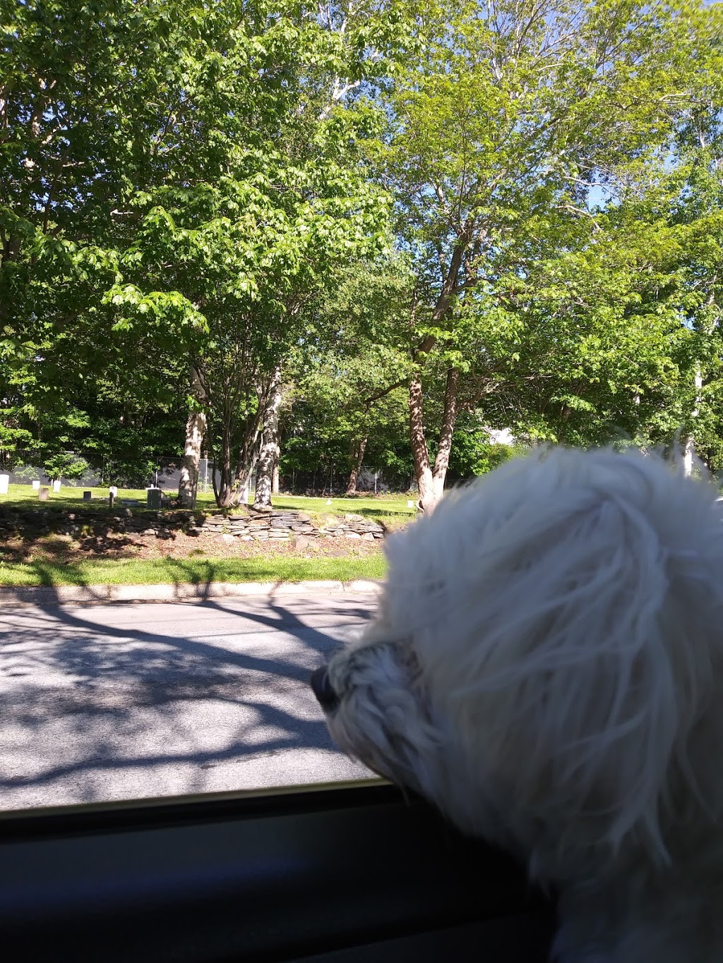 Mount Olivet Cemetery | Mumford Rd, Halifax, NS B3L, Canada