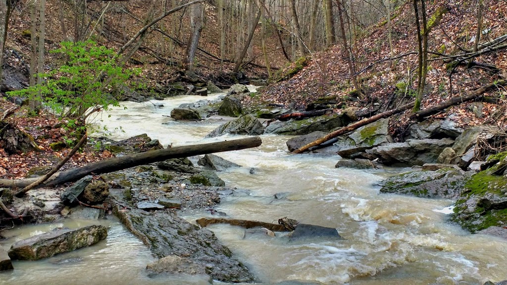Mystery Falls Trail (aka Ausable River Valley Trail) | 101 Elm Tree Dr, Parkhill, ON N0M 2K0, Canada