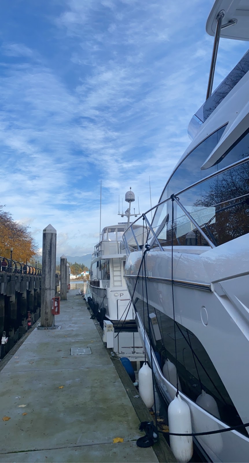 Marine yacht service | 12740 Trites Rd, Richmond, BC V7E 3R8, Canada | Phone: (604) 351-8525
