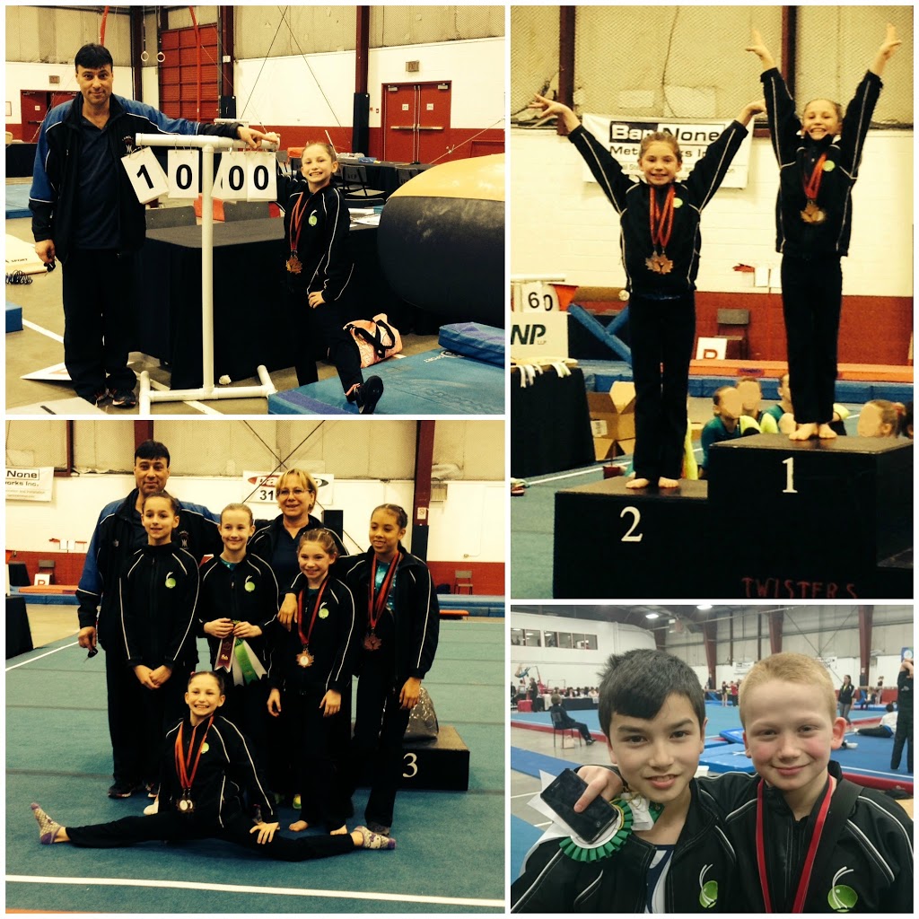 Langley Gymnastics Foundation | Suite #180 Box #16 7888 200 St, Langley City, BC V2Y 3J4, Canada | Phone: (604) 455-8845