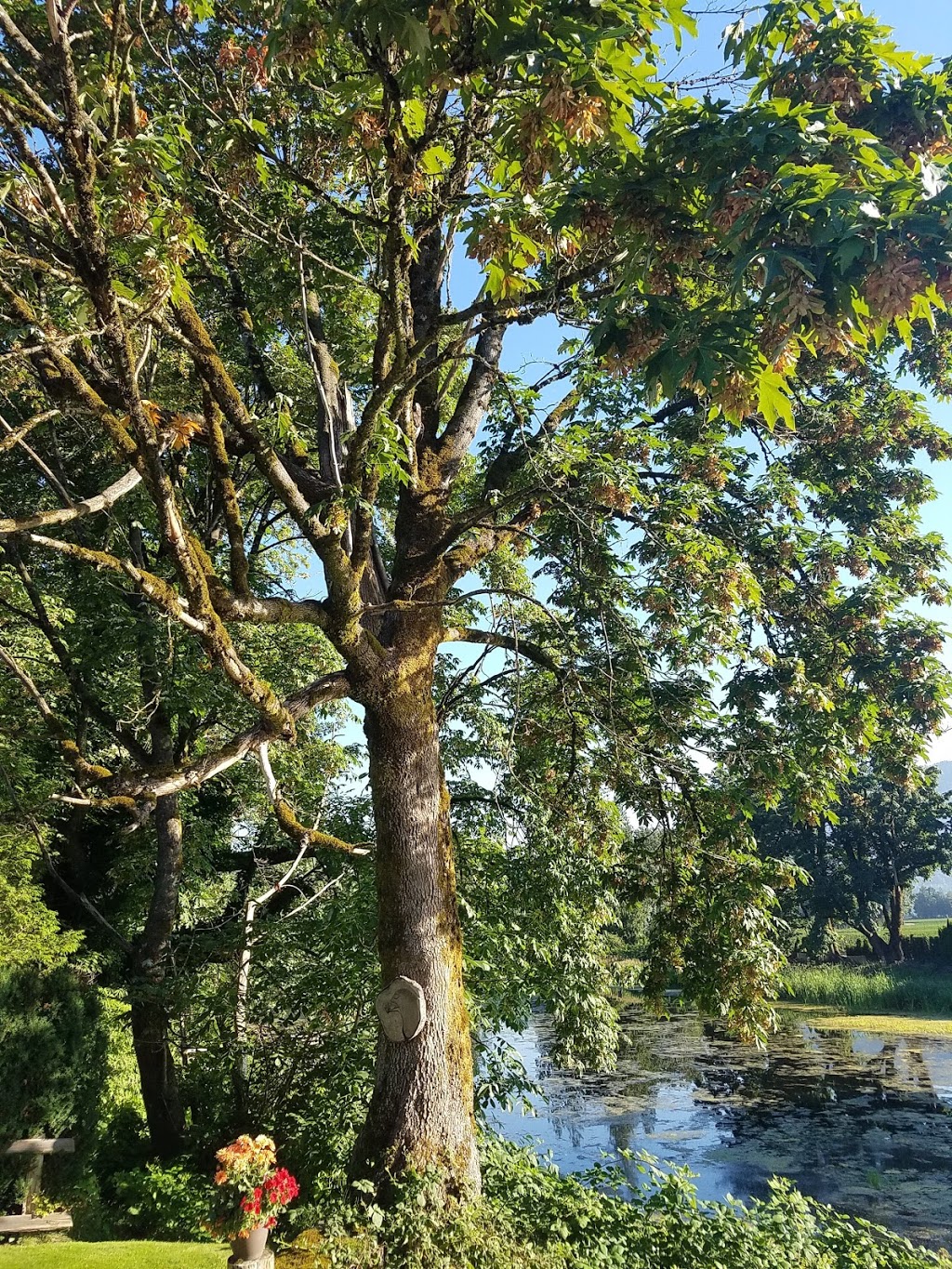 Camp River Wildlife Area | Rosedale, Chilliwack, BC V4Z 0B6, Canada