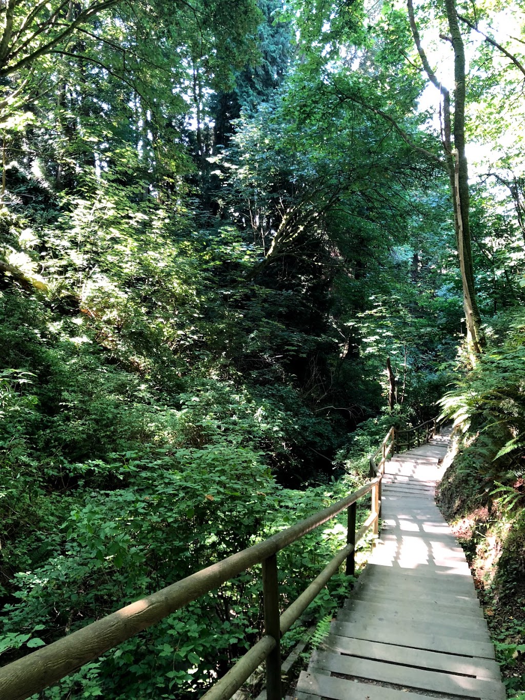 Pacific Spirit Regional Park | 5495 Chancellor Blvd, Vancouver, BC V6T 1E4, Canada | Phone: (604) 224-5739