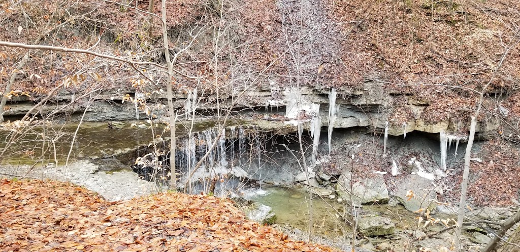 Mystery Falls Trail (aka Ausable River Valley Trail) | 101 Elm Tree Dr, Parkhill, ON N0M 2K0, Canada