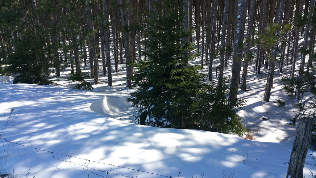 Conservation Lands | Loretto, ON L0G 1L0, Canada | Phone: (416) 661-6600