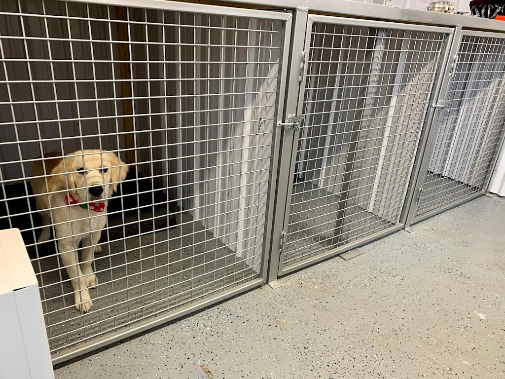 Garderie canine le havre de Caro | 252 rang 5, Saint-Ferdinand, QC G0N 1N0, Canada | Phone: (819) 362-5567