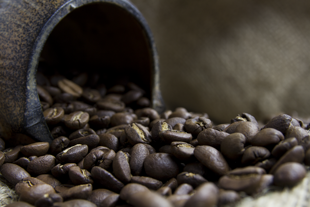 Devils Head Coffee | 4750 106 Ave SE bay 18, Calgary, AB T2C 3G5, Canada | Phone: (403) 561-8274