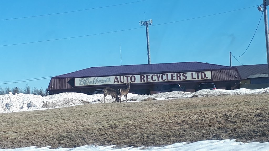 Blenkhorns Auto Recyclers Ltd | 332 Brookside Branch Rd, Brookside, NS B6L 2A8, Canada | Phone: (902) 893-7181