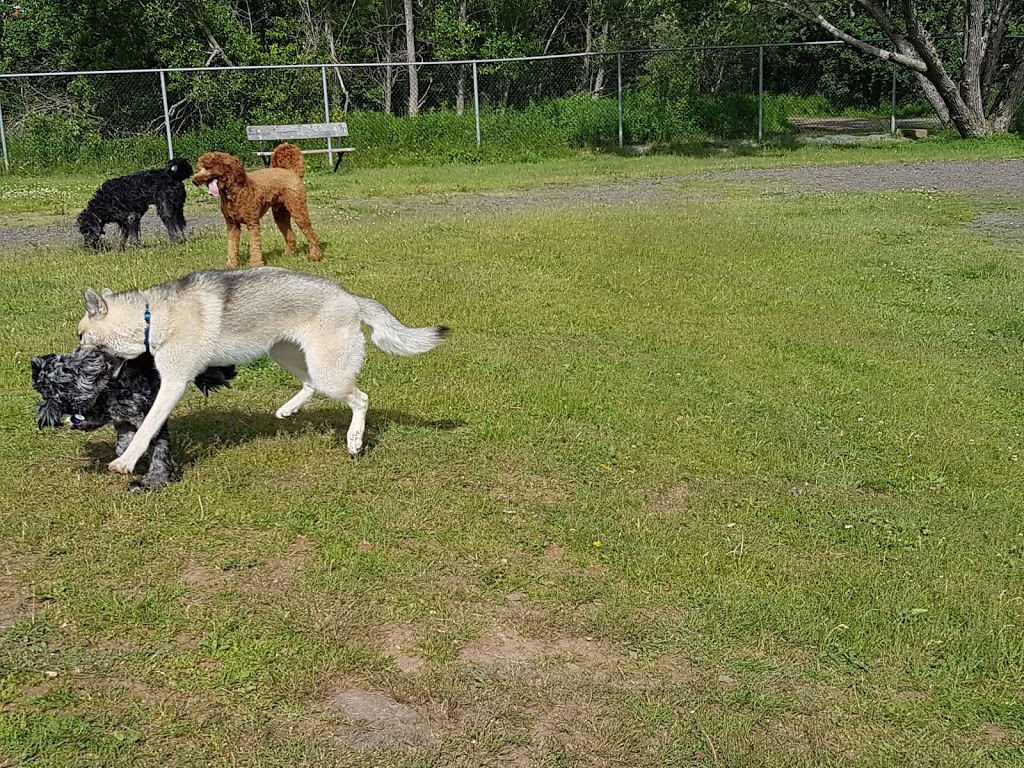 Isaacs Run Dog Park | 199 Lakeside Dr, Riverview, NB E1B, Canada | Phone: 387-2030