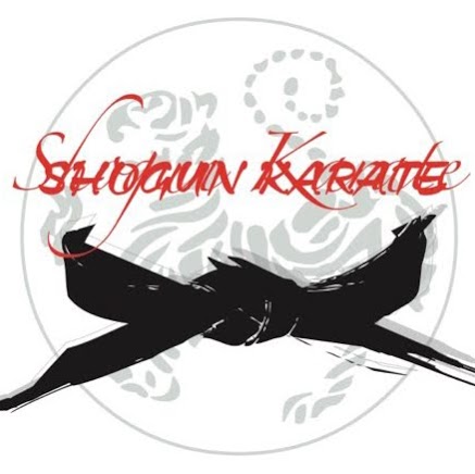 Zelli Shogun Karate Association | 16741 Boul Hymus, Kirkland, QC H9H 3L4, Canada | Phone: (514) 231-0122