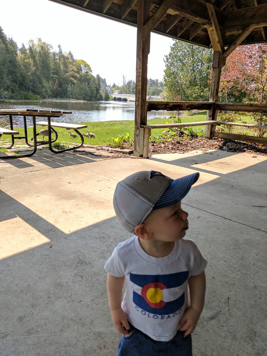 Eramosa River Cafe | 185 Main St S, Guelph/Eramosa, ON N0B, Canada | Phone: (519) 856-4800