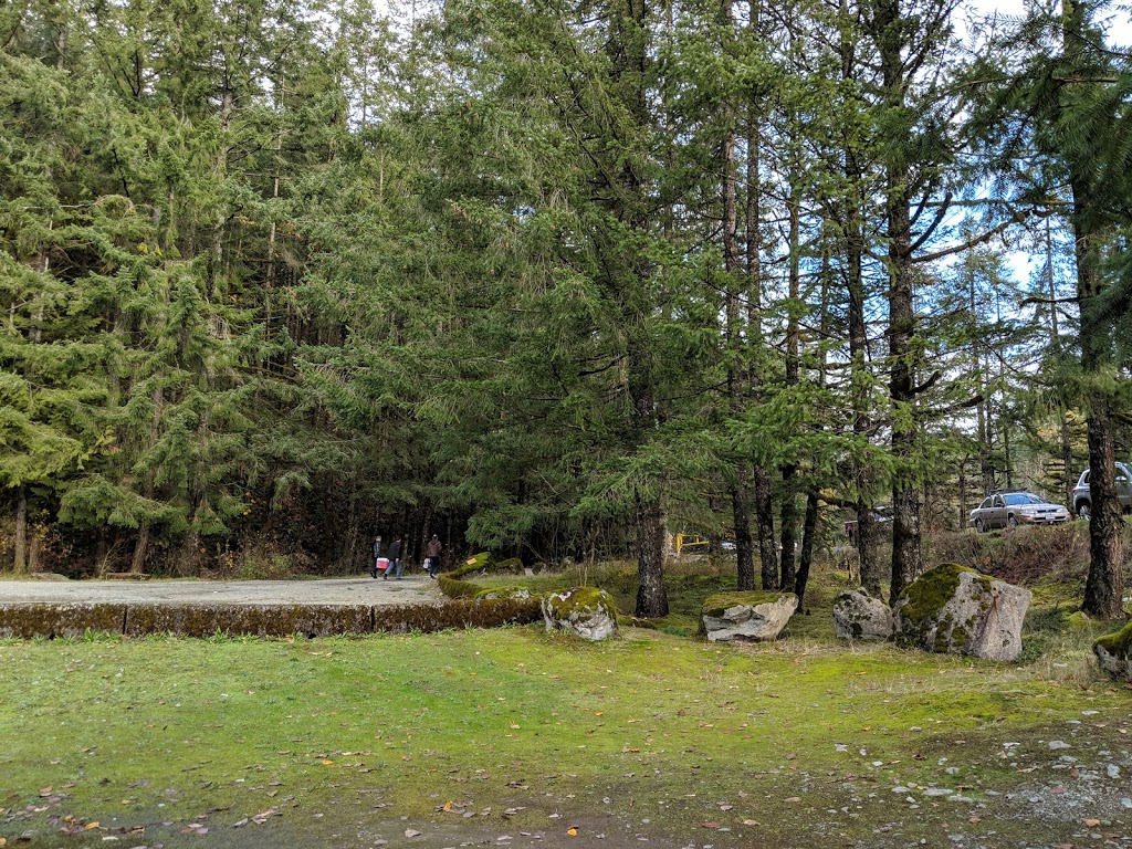 Chehalis River Campground | 16300 Morris Valley Rd, Harrison Mills, BC V0M 1L0, Canada