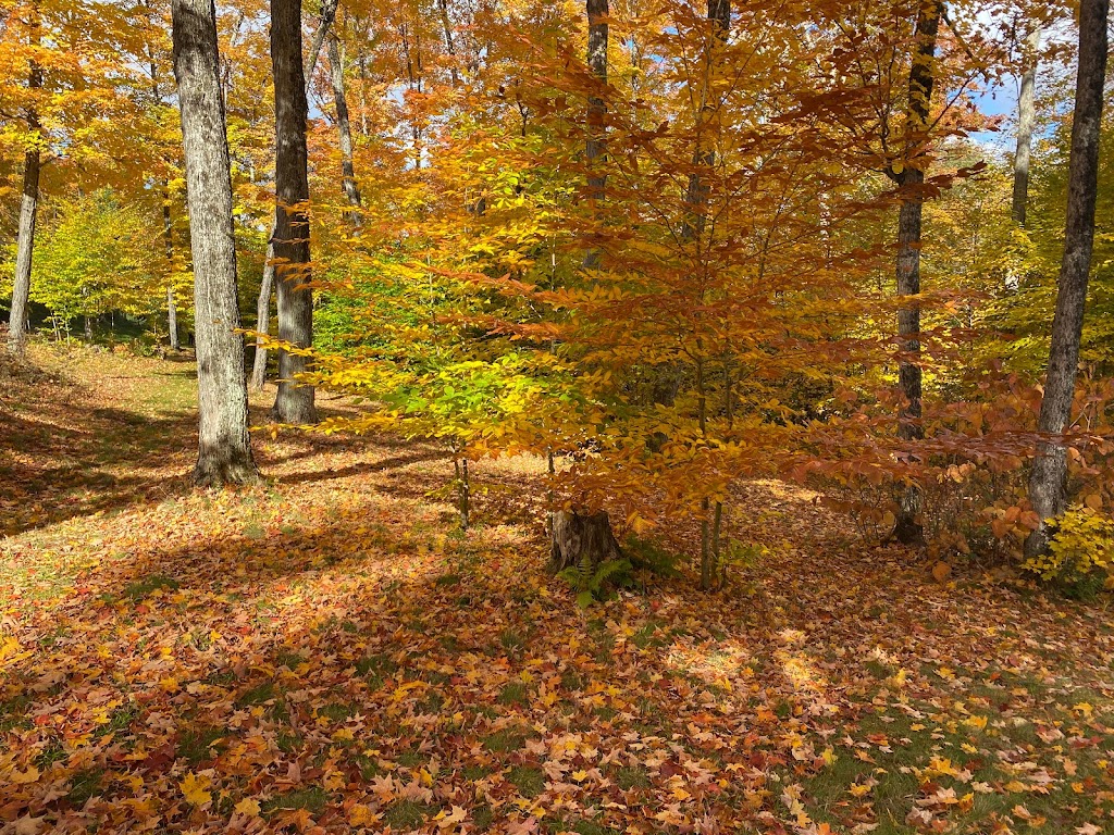 Highland Grove Camping by the Lake | 7052 Loop Rd, Highland Grove, ON K0L 2A0, Canada | Phone: (647) 946-4949