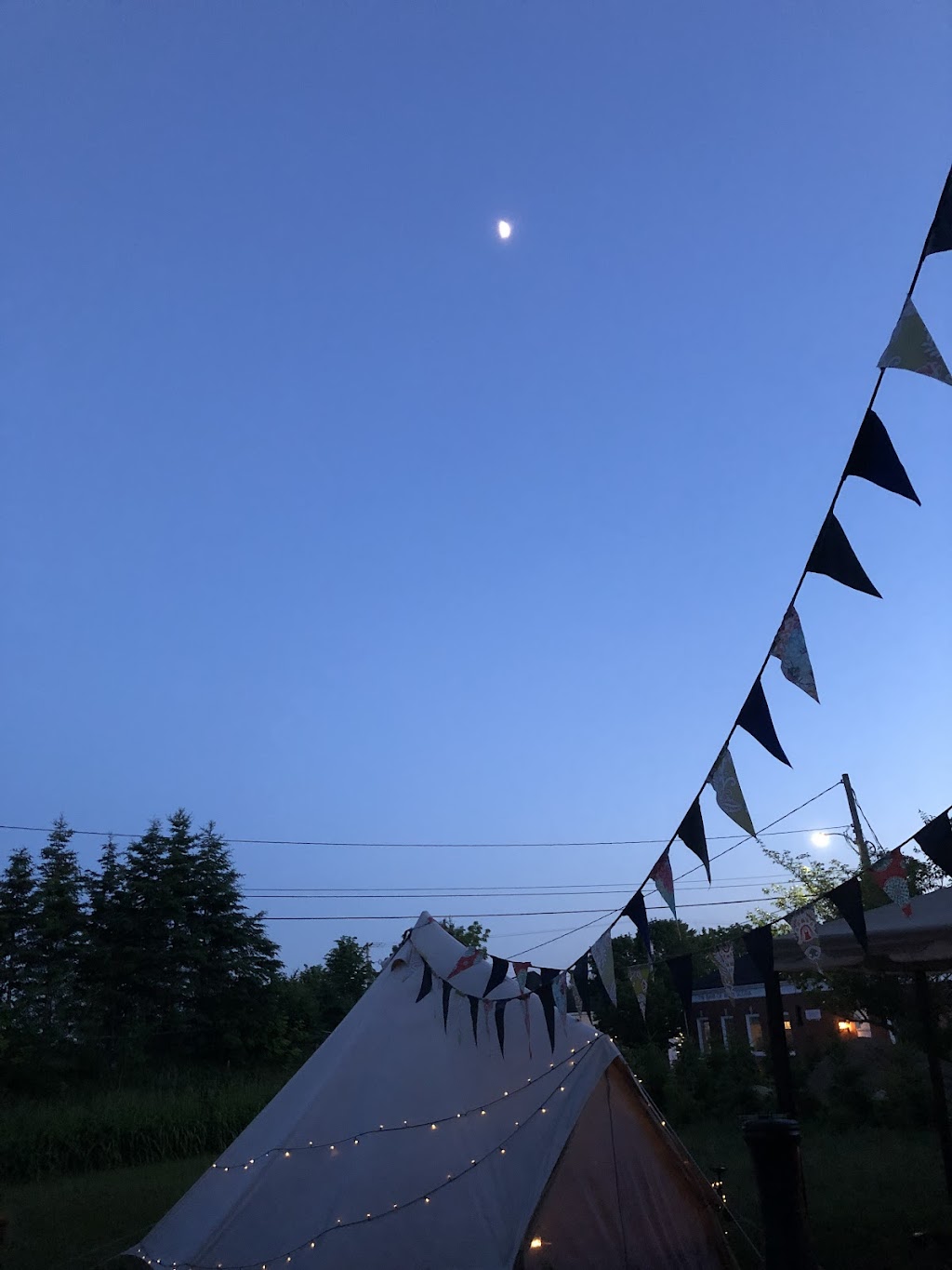 Swallowtail Bunting | 55 Duke St, Chester, NS B0J 1J0, Canada | Phone: (902) 277-1079