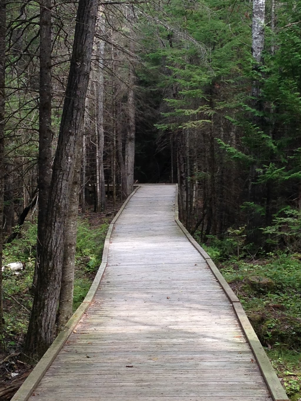 Brokenhead Wetland Interpretive Trail | 1 km south of and 12, 59 Provincial Trunk Hwy 12, Beaconia, MB R0E 0B0, Canada | Phone: (204) 250-4359
