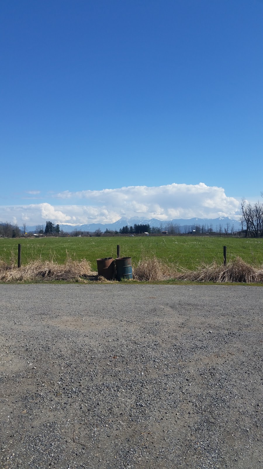 Emerald Green Landscaping Inc | 36757 Alberta Rd, Fraser Valley G, BC V2V 7G8, Canada | Phone: (604) 820-2907