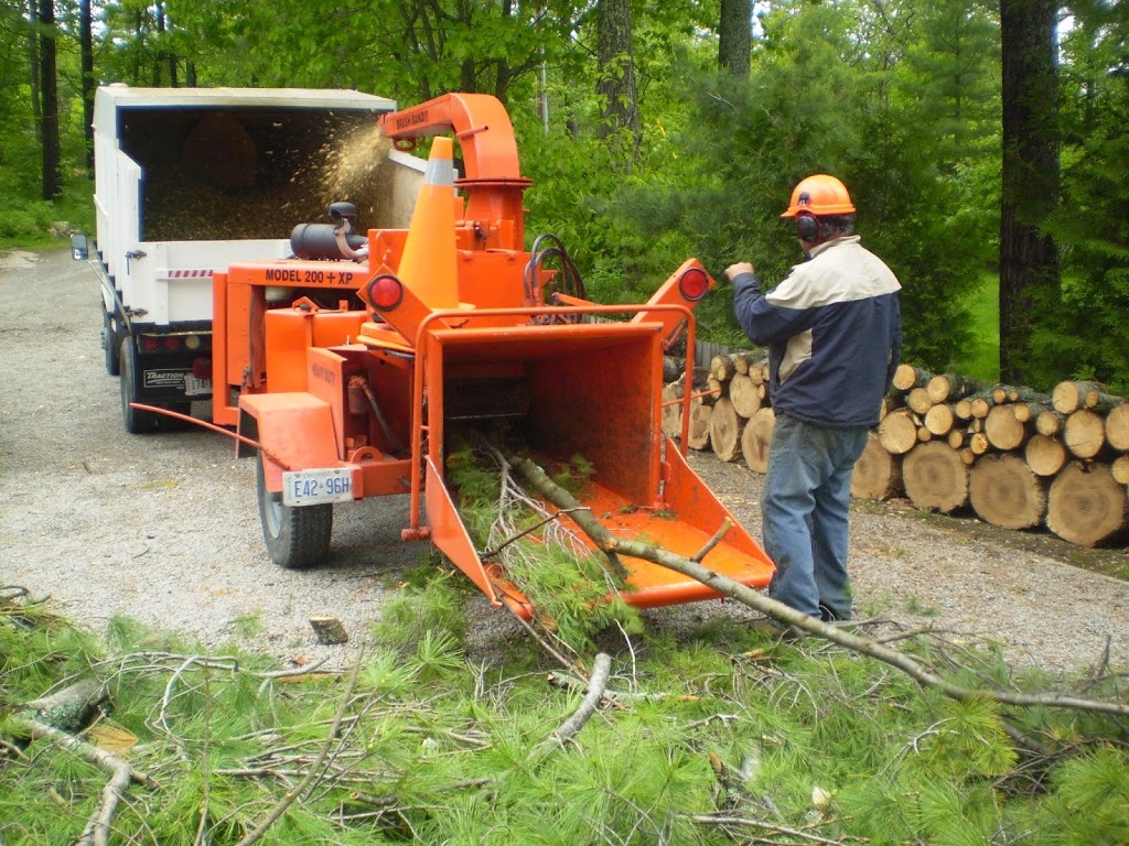 DLG Tree Service | 2886 Penetanguishene Rd, Springwater, ON L9X 1Z7, Canada | Phone: (705) 728-9369
