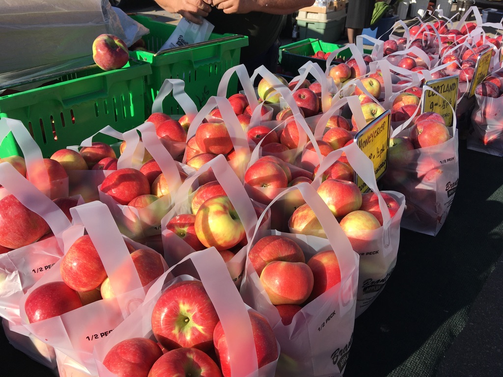 Rockwood Farmers Market | Rockmosa Dr., Guelph/Eramosa, ON N0B 2K0, Canada | Phone: (519) 831-3106