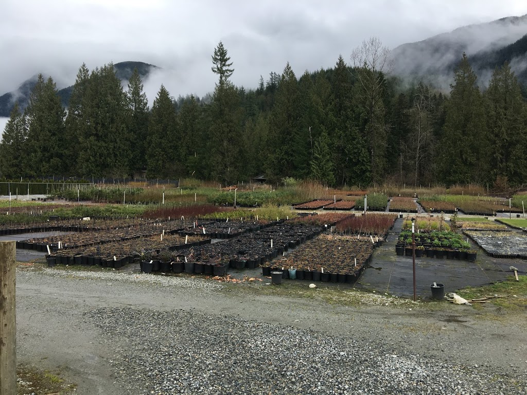 Peels Nurseries Ltd. | 35920 Pattison Rd, Fraser Valley F, BC V2V 4J1, Canada | Phone: (604) 820-7386