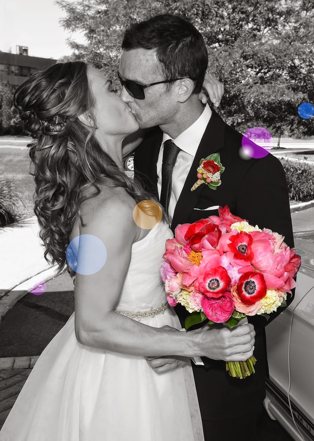 Brad Edwards Photography | Bezanton Way, Colwood, BC V9C 0C5, Canada | Phone: (250) 516-1834
