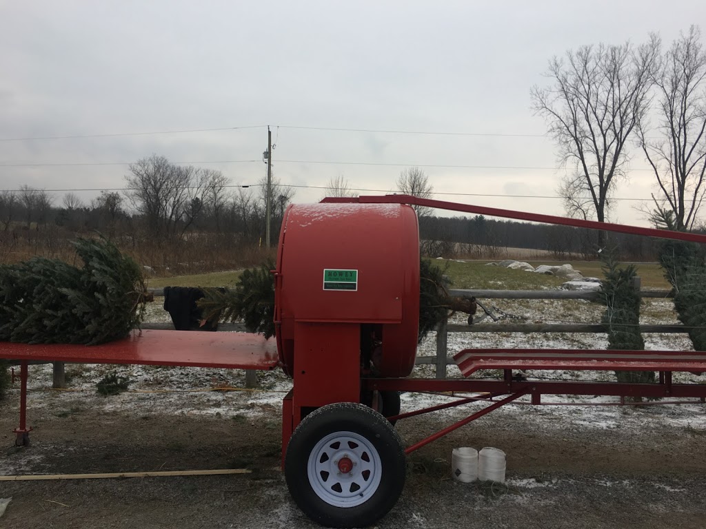 Denmar Christmas Trees | 217 Clearview Rd, Stirling, ON K0K 3E0, Canada | Phone: (613) 922-2841