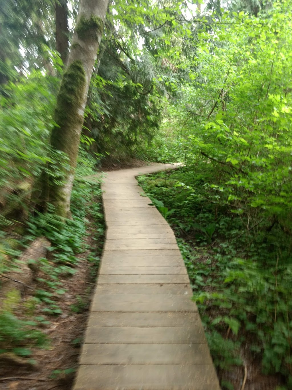 Oakdale Park | 835 North Rd, Coquitlam, BC V3J 1P8, Canada | Phone: (604) 927-3000