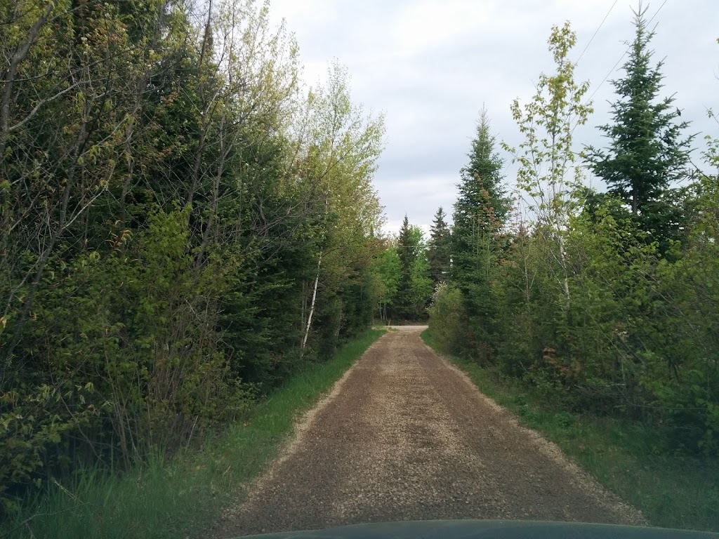 Siegel W W Sand & Gravel | 212 Tv Tower Rd, Pembroke, ON K8A 6W6, Canada | Phone: (613) 732-8867