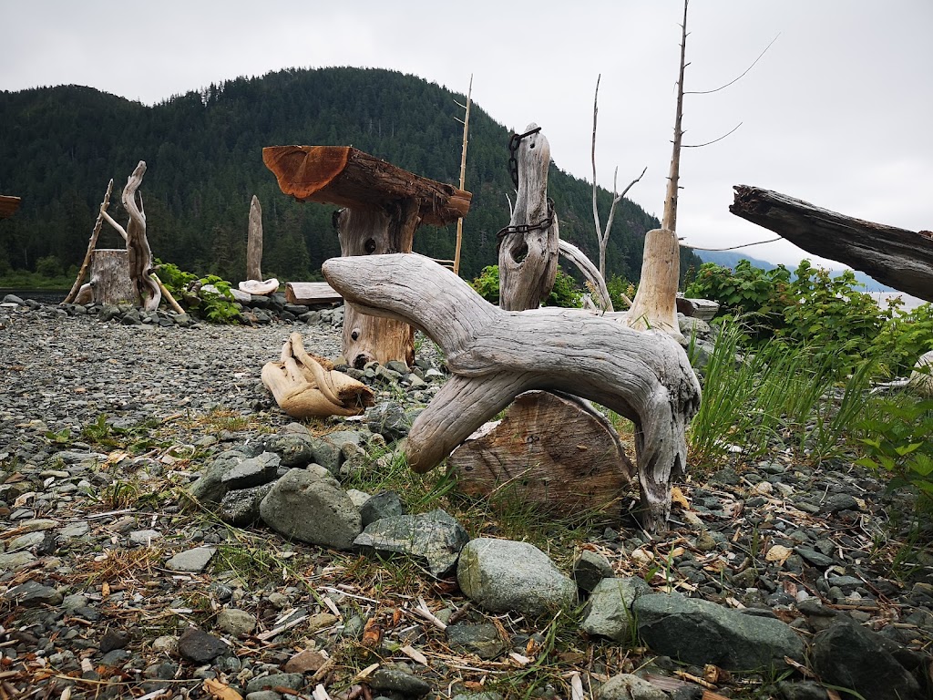 West Coast Edge Adventures Inc. | 2533 Port Alberni Hwy, Port Alberni, BC V9Y 8P2, Canada | Phone: (855) 666-3343
