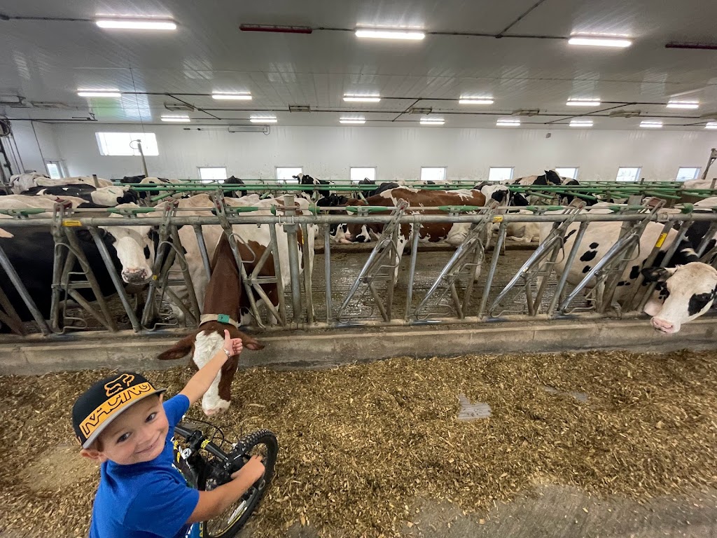 Ferme AMF Savard inc | 923 Rang Caron, Hébertville, QC G8N 1B5, Canada | Phone: (418) 669-0299
