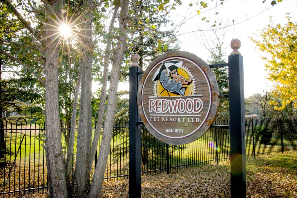 Redwood Pet Resort | 7594 Auburn Rd, Milton, ON L9E 0T7, Canada | Phone: (905) 878-9410
