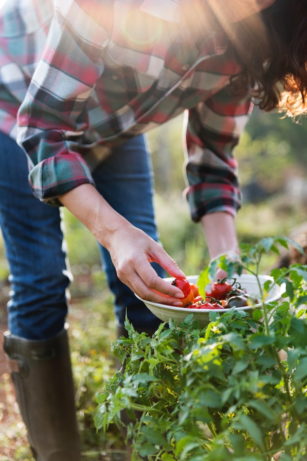 Belanger Organic Farms | 4716 3 Line N, Hillsdale, ON L0L 1V0, Canada | Phone: (705) 309-7306