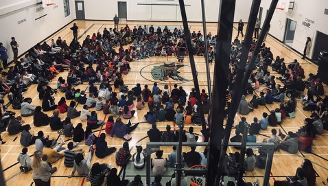 Cree8 | 220 Hawkwood Blvd NW, Calgary, AB T3G 3E8, Canada | Phone: (403) 404-7664