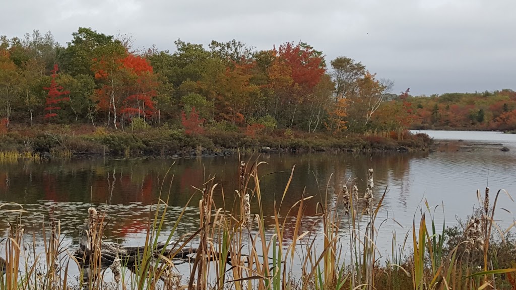 Cyril Smith Golden Acres Park | Dartmouth, NS B3A 4X8, Canada