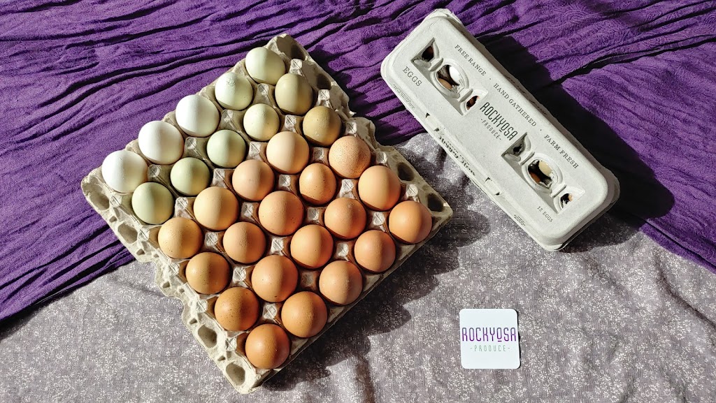 Rockyosa Produce | 24122 TWP RD 341 SW23 41 24 W4, Clive, AB T0C 0Y0, Canada | Phone: (587) 282-0408