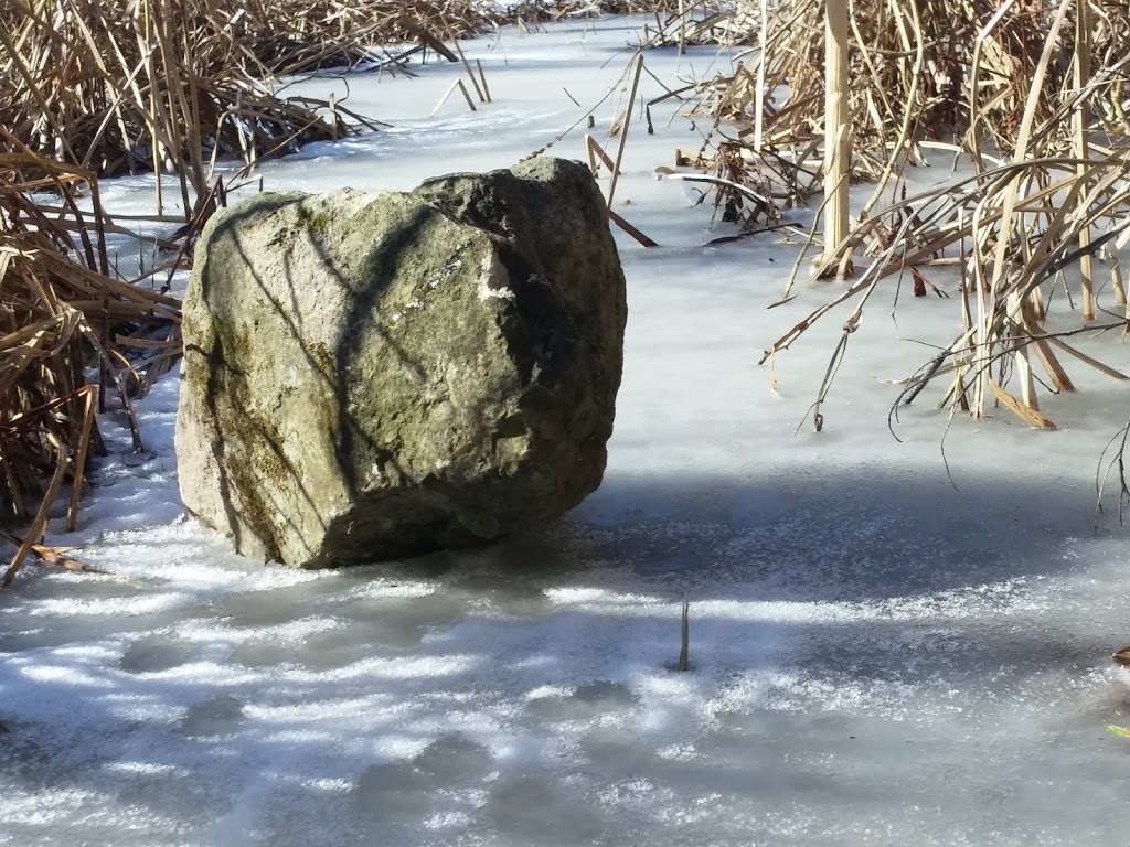 Mud Lake Conservation Area | 3031 Elm St, Port Colborne, ON L3B 5K7, Canada | Phone: (905) 788-3135