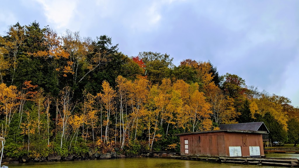 Muskoka Village Harbour and Marina | 1291 Skeleton Lake Road 2, Utterson, ON P0B 1M0, Canada | Phone: (416) 580-0352