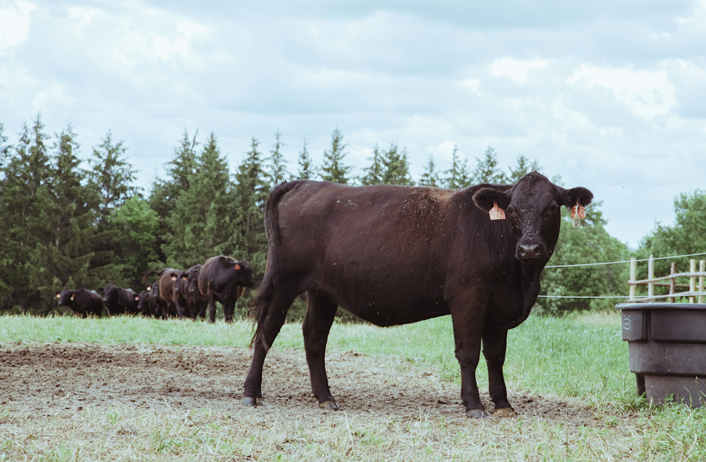 Winterhill Farm & Garden | 5807 Fourth Line, Guelph/Eramosa, ON N0B 2K0, Canada | Phone: (519) 215-3191