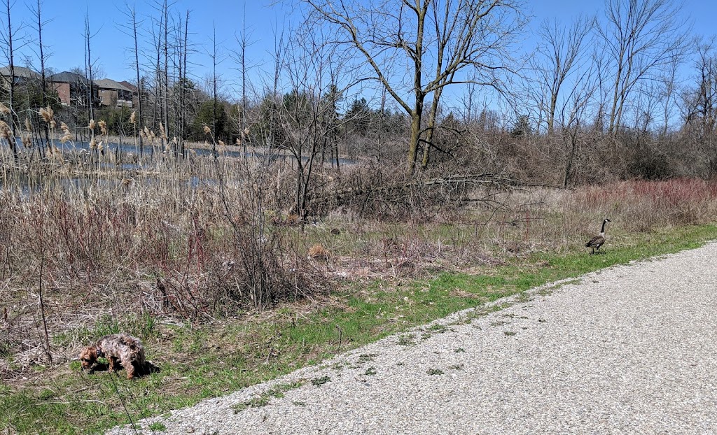 Hollybrook Trail | Hollybrook Trail, Kitchener, ON N2P, Canada | Phone: (519) 748-0087