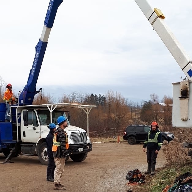 Colonial Tree Service | 36 Armstrong Ave, Georgetown, ON L7G 4R9, Canada | Phone: (905) 877-8591