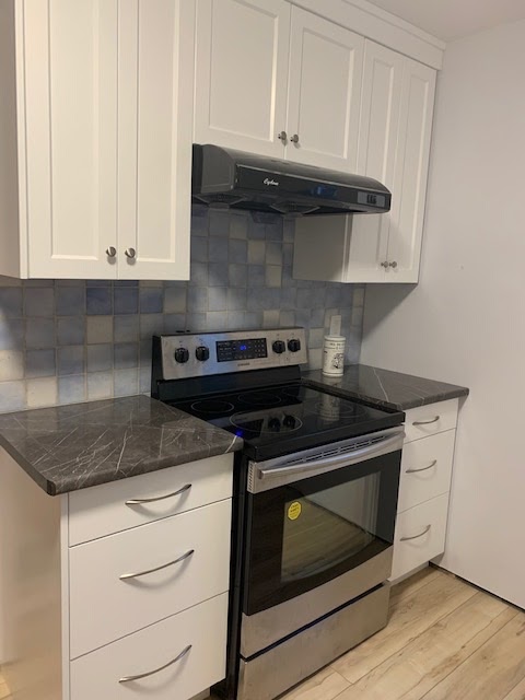 Blairs Finish Carpentry | 5900 Regional Rd 57, Niagara Falls, ON L2J 1A2, Canada | Phone: (905) 356-6972