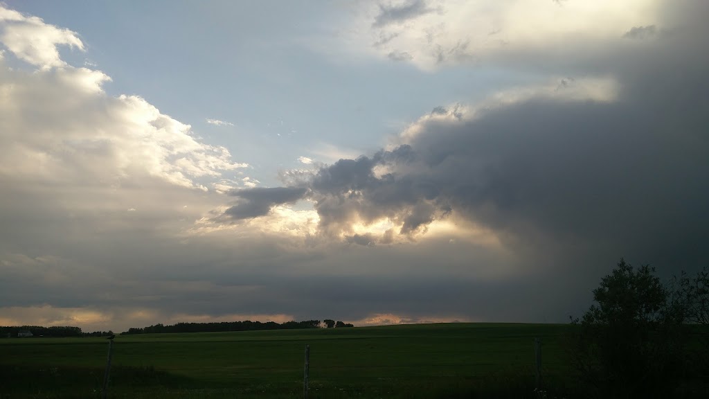 Crossfield Fish Pond | Fish Pond, Crossfield, AB T0M 0S0, Canada | Phone: (403) 555-1234