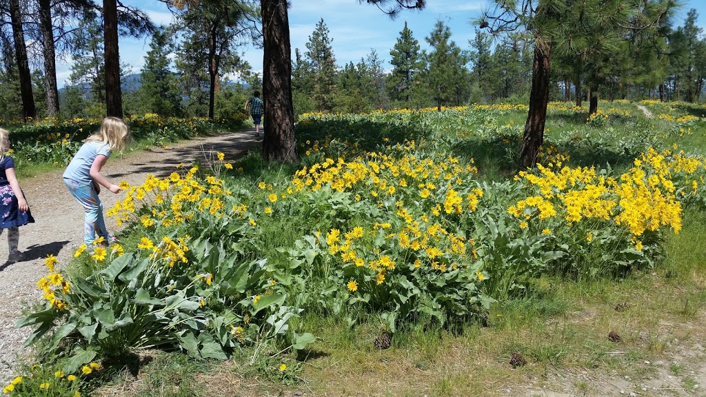Dilworth Mountain Park | Chilcotin Crescent, Kelowna, BC V1Y 7V3, Canada