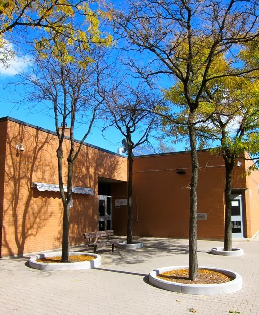 Toronto Public Library - Armour Heights Branch | 2140 Avenue Rd, North York, ON M5M 4M7, Canada | Phone: (416) 395-5430